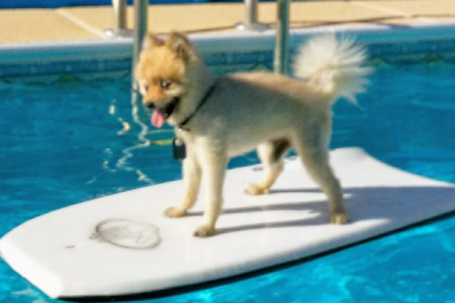 Brady Landscaping Design Corporation