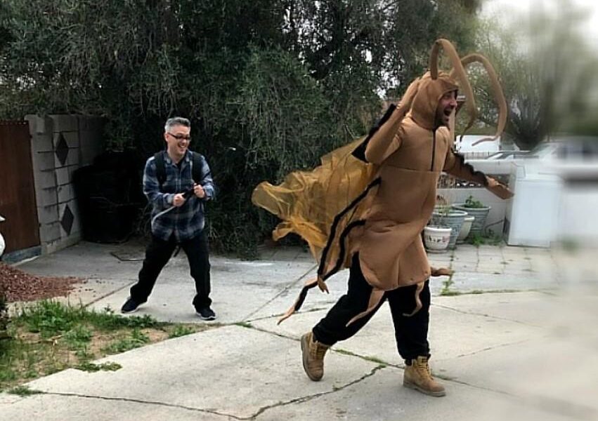 Bug Thug Pest Control