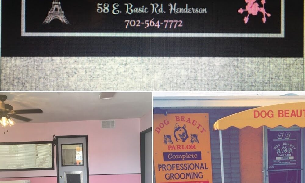 Dog Beauty Parlor