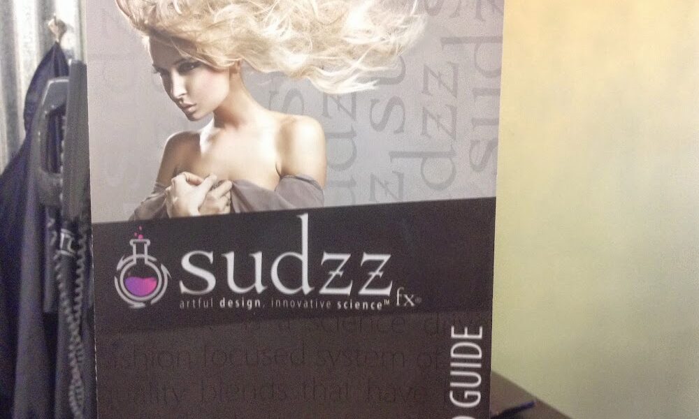 Electric Chair Salon