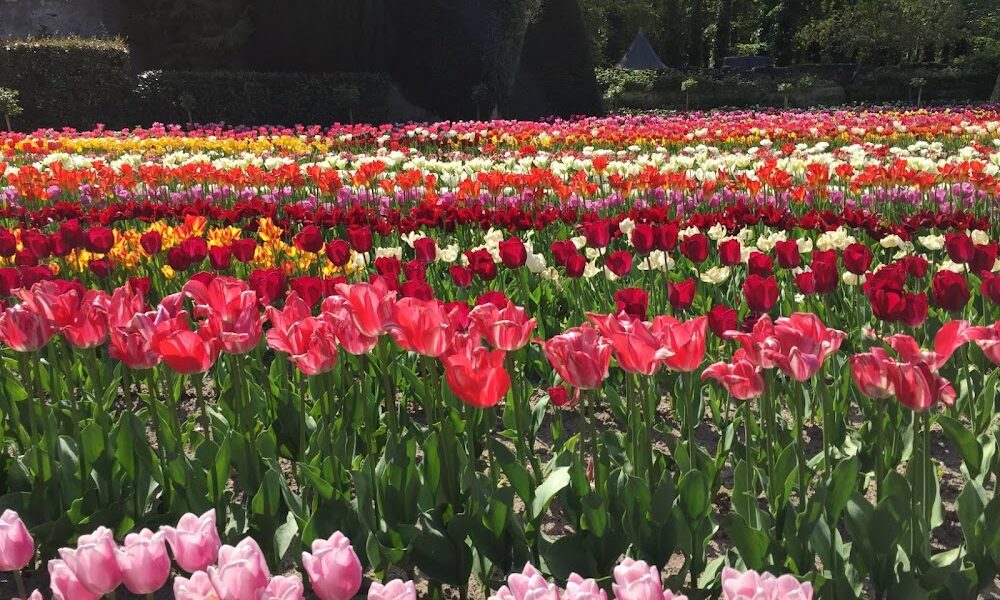 Head 2 Toes Beauty Salon