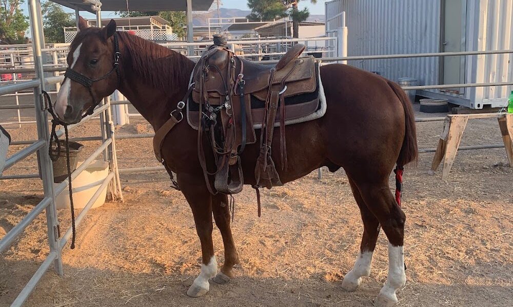 High Desert Insurance Agency