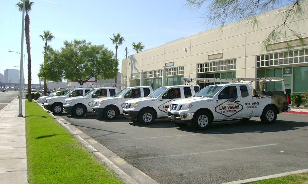 Las Vegas Pest Control – Henderson Office