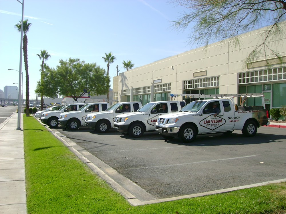 Las Vegas Pest Control – Henderson Office