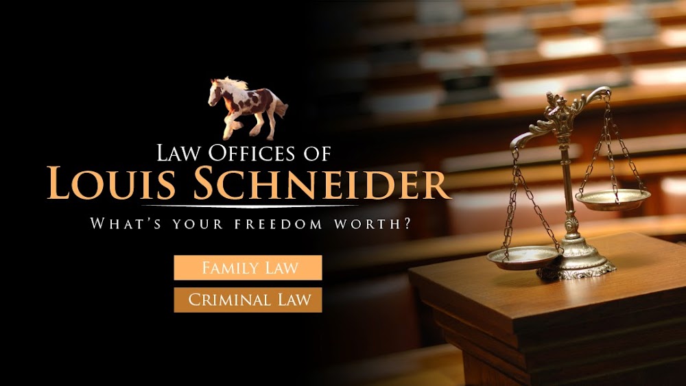 Law Offices Of Louis Schneider