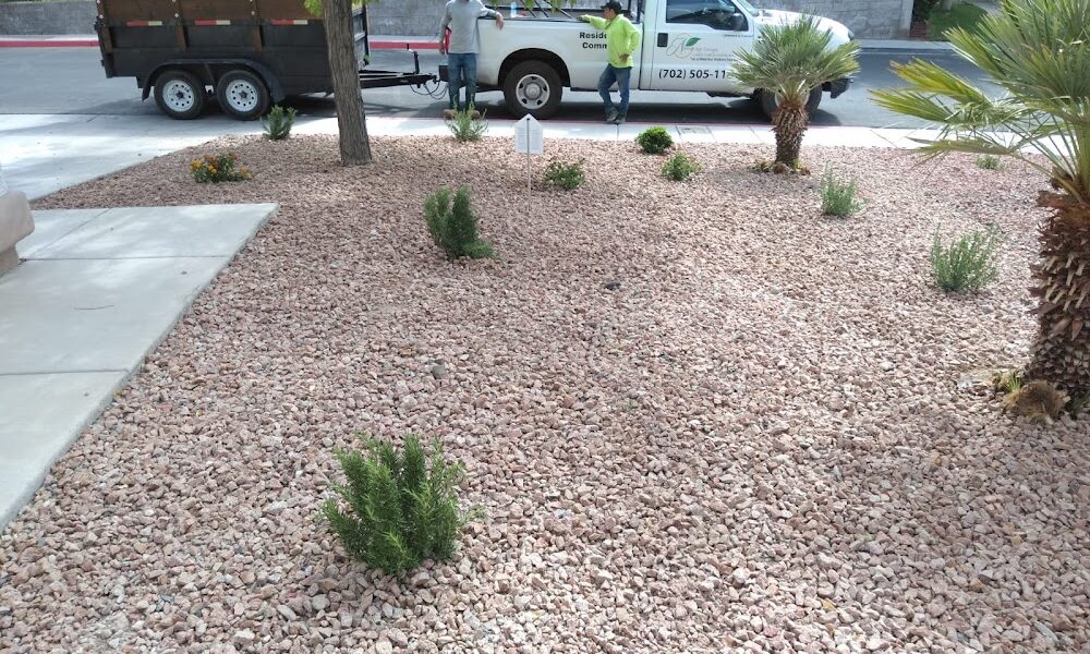 Nature by Design LLC-Landscaping Services