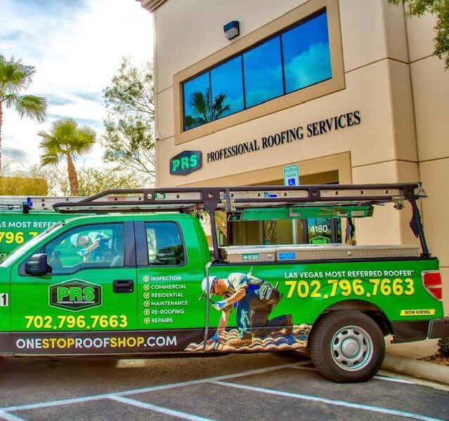 Professional Roofing Services