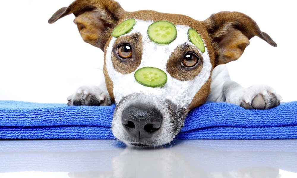 Samy’s Grooming Salon