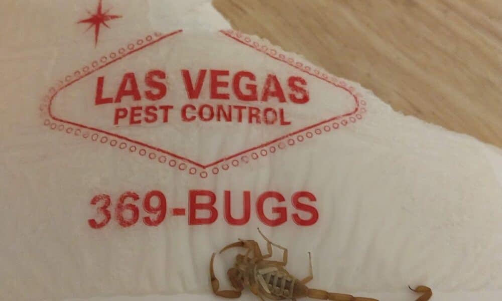 Las Vegas Pest Control