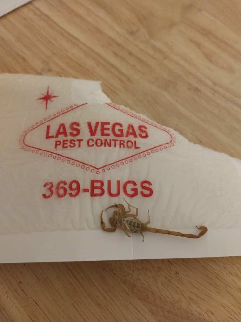 Las Vegas Pest Control