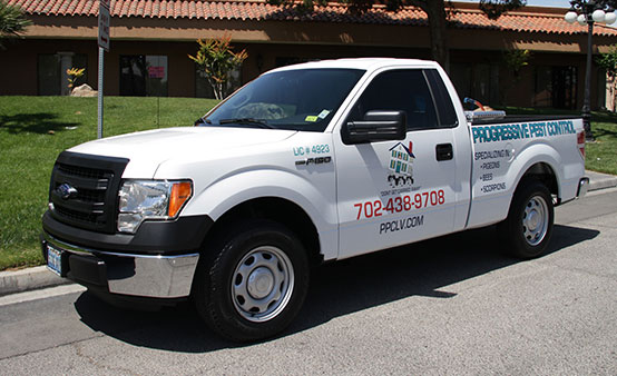 Progressive Pest Control Las Vegas